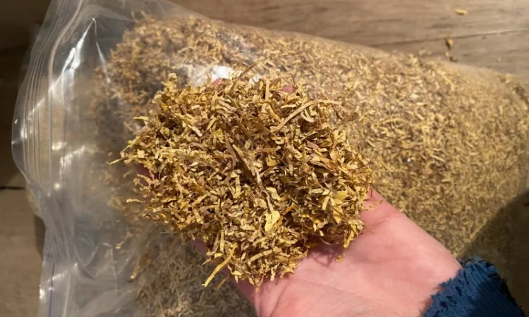 Тютюн Virginia Gold – мягкий сорт - фото № 3