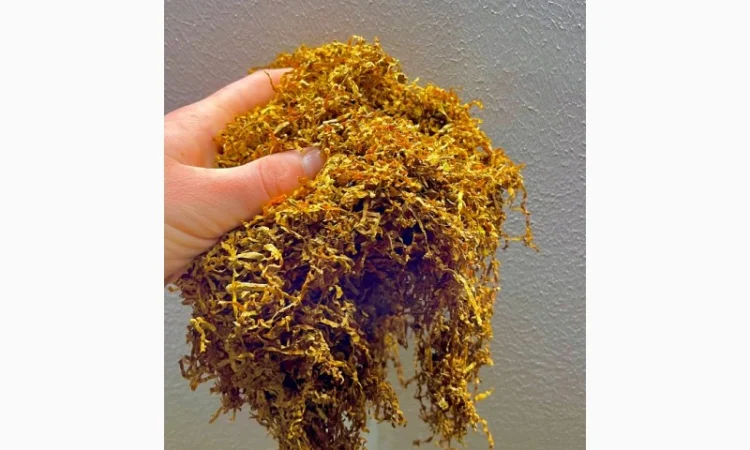 Табак для истинного удовольствия - фото № 4