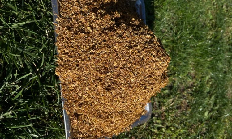 Табак з насиченим смаком та ароматом - фото № 8