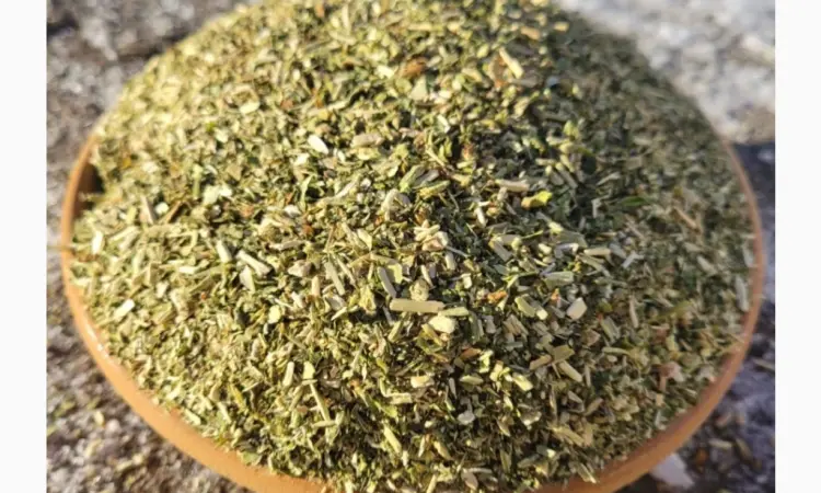 Махорка - фото № 1