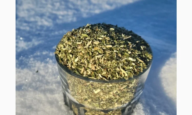 Продажа самосада - махорка, тютюн - фото № 1