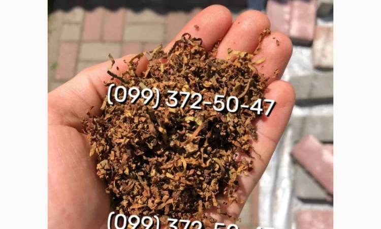 Качественный и ароматный табак Вирджиния - фото № 1