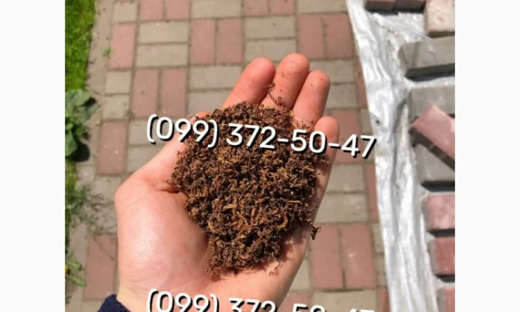 Качественный и ароматный табак Вирджиния - фото № 20