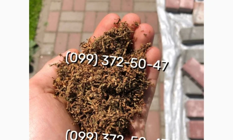 Тютюн без палок и пилу Кемел - фото № 13