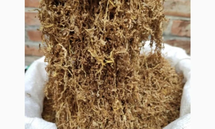 Куплю табак Самосад оптом - фото № 1