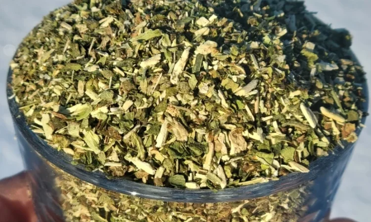 Домашняя зелёная махорка в продаже - фото № 1