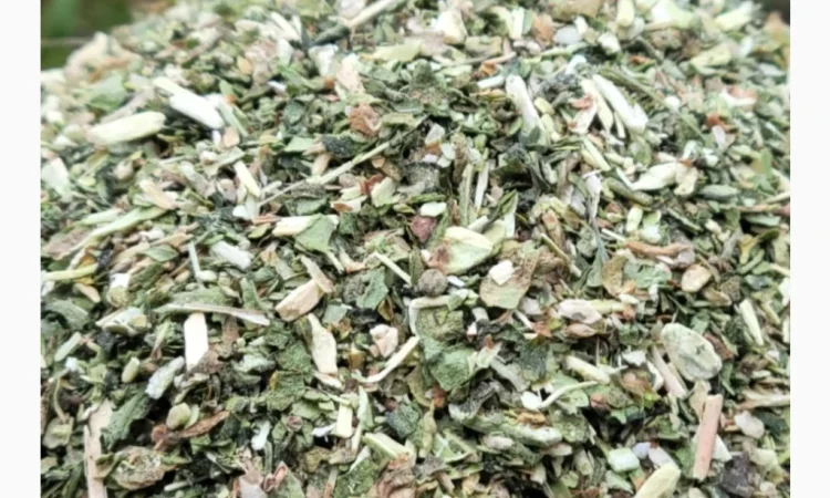 Продаж домашньої махорки - фото № 1