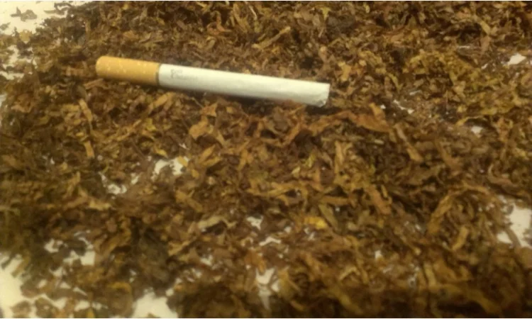 Продается тютюн Берли и Вирджиния - фото № 5