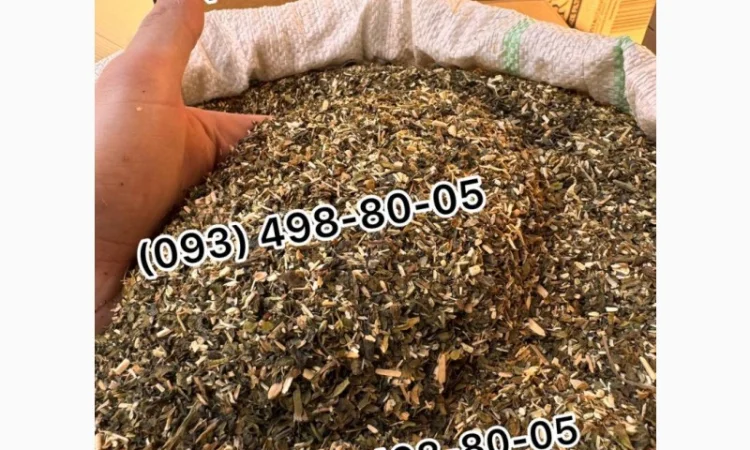 Табак Махорка, Берлі, Гавана, Міленіум, Голд, Руно, Вінстон, Капітан Блек, Вірджинія в продаже - фото № 6