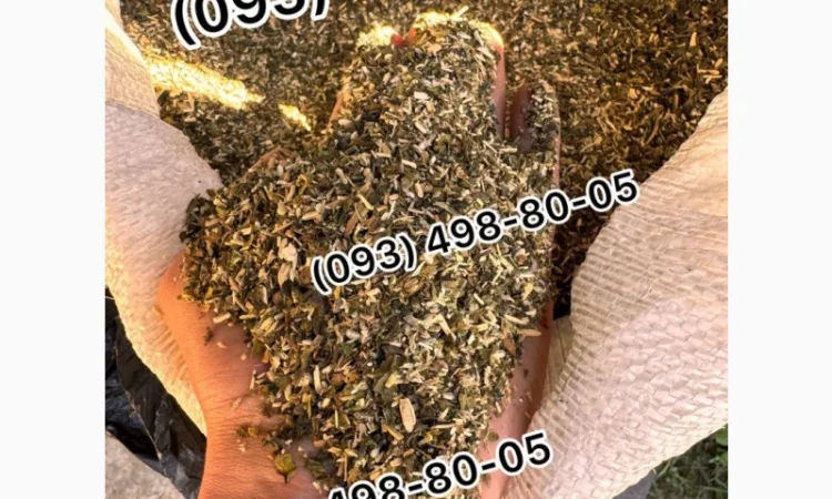 Табак Махорка, Берлі, Гавана, Міленіум, Голд, Руно, Вінстон, Капітан Блек, Вірджинія в продаже - фото № 3