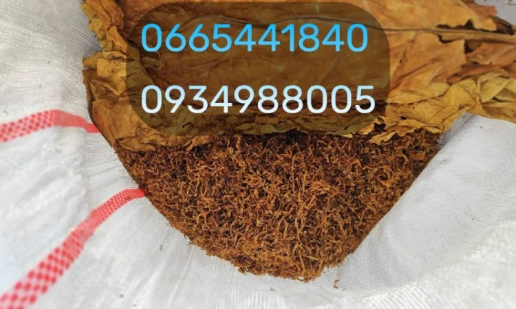 Якісний тютюн Вірджинія, Кап Блек, Давідофф та гільзи в продажу - фото № 19