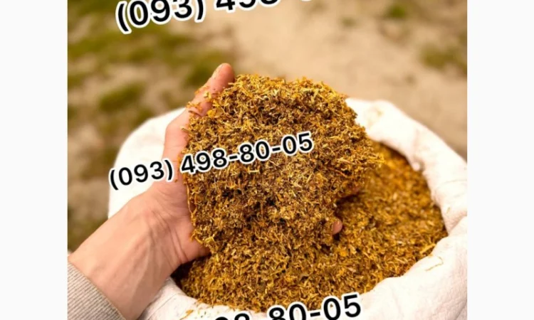 Табак Руно – уникальные сорта для истинных ценителей - фото № 3