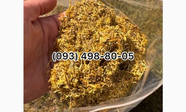 Табак Руно – уникальные сорта для истинных ценителей - фото № 4