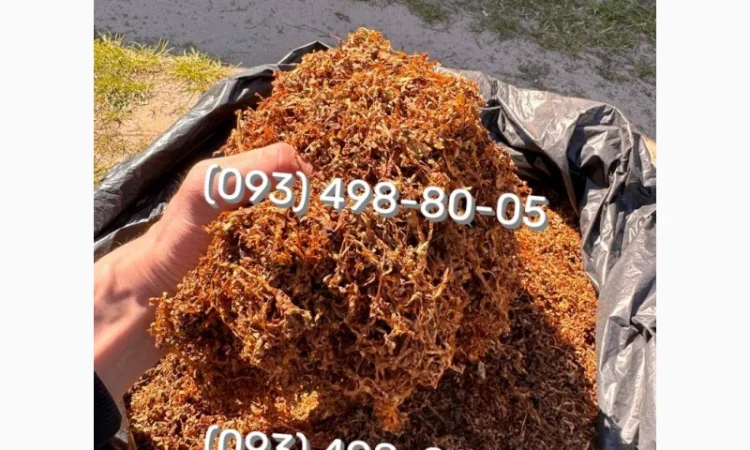 Якісний тютюн ОПТОМ та В РОЗДРІБ Вірджинія - фото № 9