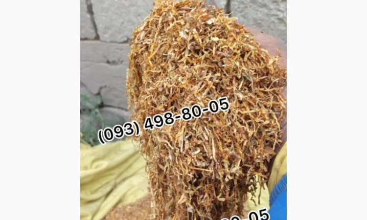 Качественный табак: Золото Руно, Гавана, Вирджиния и другие сорта - фото № 17