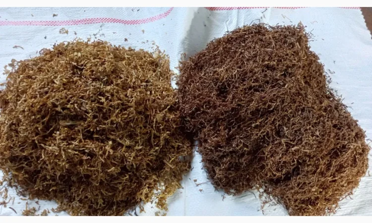 Премиальный табак без пыли и мусора Парламент - фото № 16