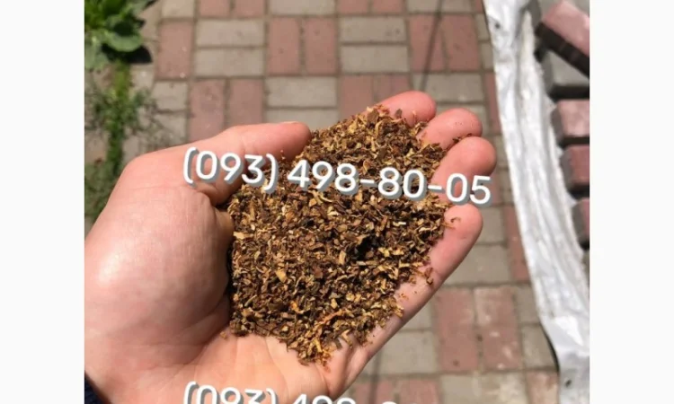 Отборный табак без пыли и мусора Davidoff - фото № 19