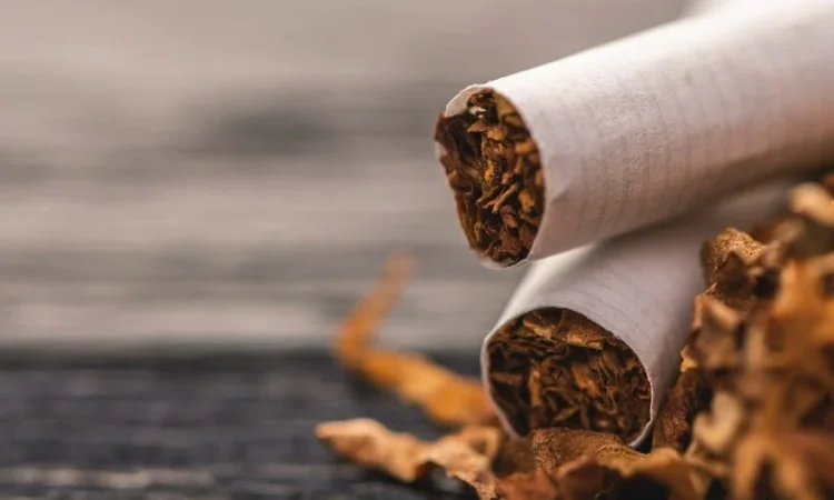 Табак Капитан Блек, Вирджиния, Винстон и другие - фото № 1