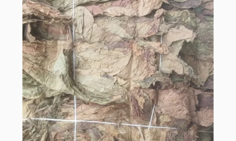 Продажа тютюна оптом - фото № 2