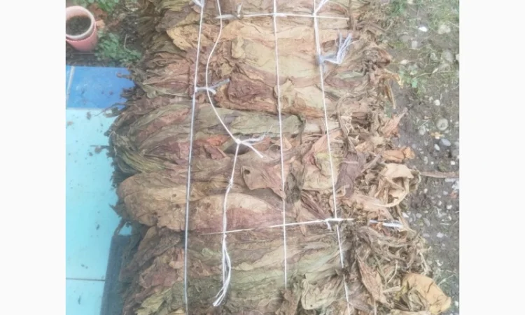 Продажа тютюна оптом - фото № 3