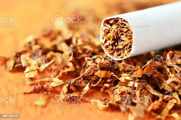 Табак імпортного та фабричного виробництва у продажу - фото № 1