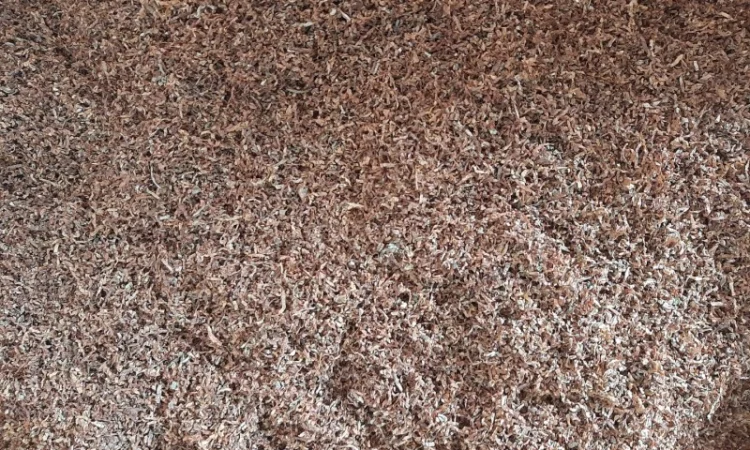 Качественный табак разных сортов в продаже - фото № 4