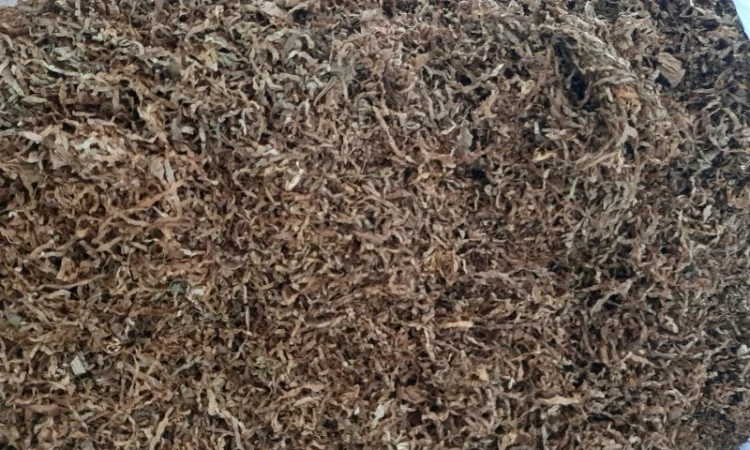 Импортный и фабричный табак разных сортов и вкусов - фото № 2