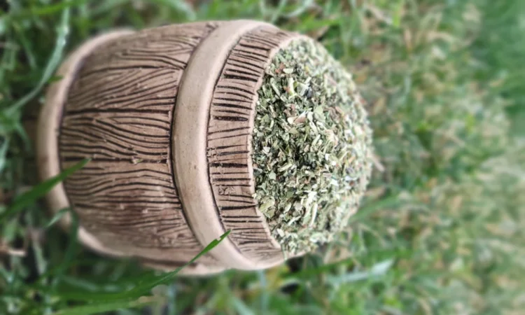 Махорка - качественный табак на развес - фото № 2