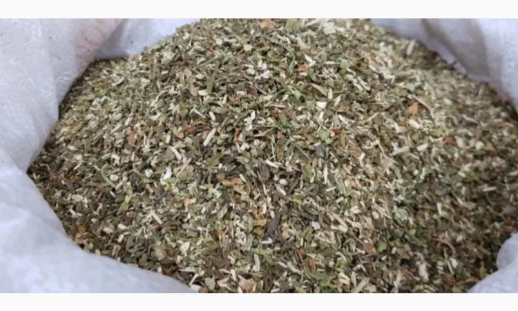 Махорка самосад высокого качества - фото № 1