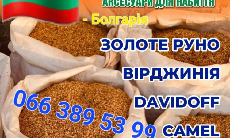 Кентуки - фото № 1