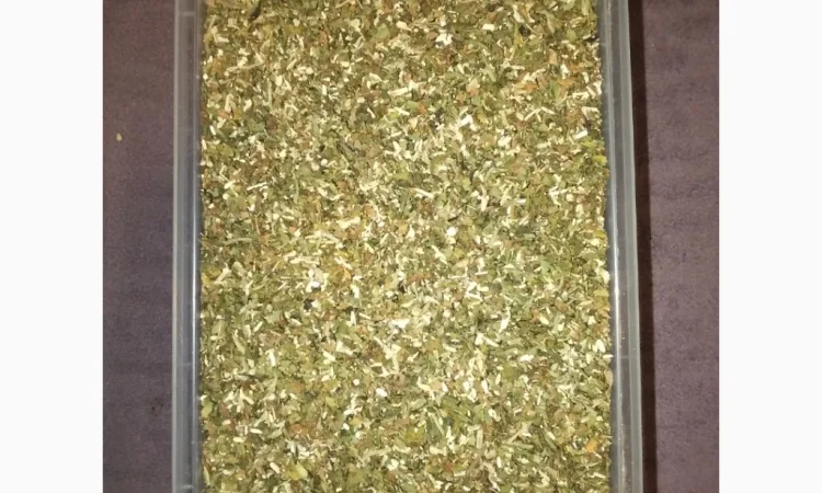 Продается махорка самосад 2025 года - фото № 1