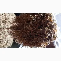 Табак оптом и в розницу Гавана, Дюбек, Вирджиния и другие - фото № 1