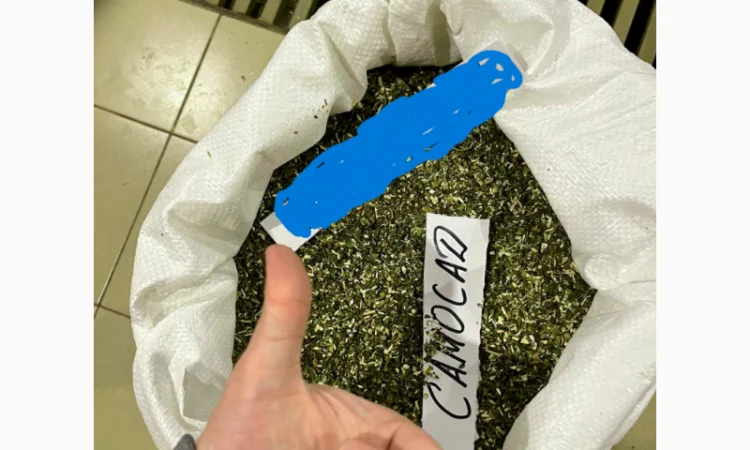 Куплю стебло и жилку табака оптом - фото № 1