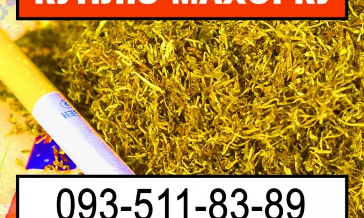 Закупівля махорки та тютюну - фото № 1