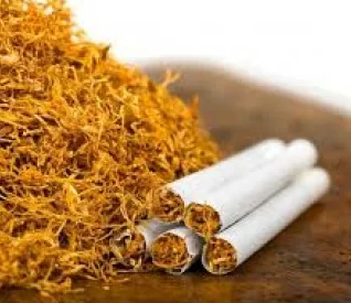 Якісний тютюн для куріння - фото № 1