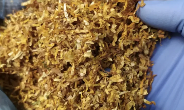 Тютюн Вірджинія та Берлі - фото № 1