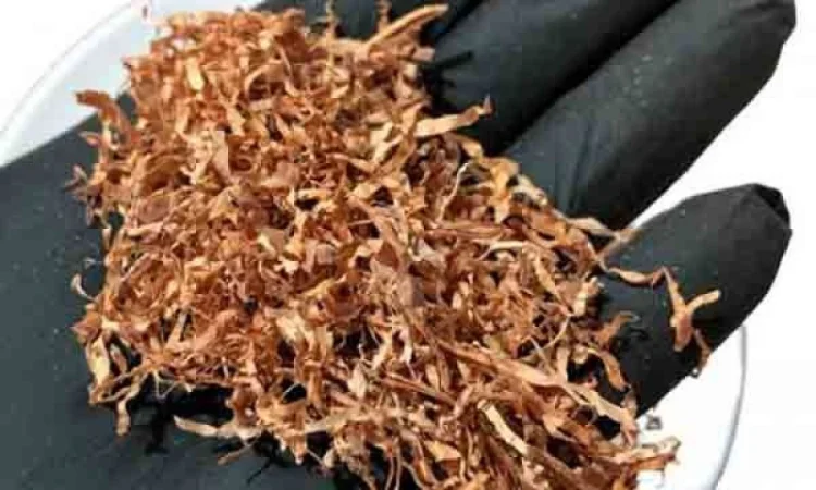 Тютюн высокого качества по привлекательным ценам. Гильзы - фото № 1