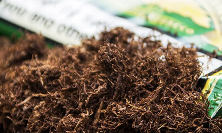 Табак Берли (Burley) – богатый аромат и качество - фото № 1