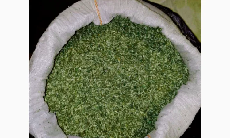 МАХОРКА высшего качества - домашний самосад и табак нарезка лапшой - фото № 1