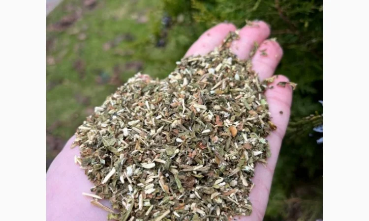 Продается махорка (самосад) высокого качества - фото № 1