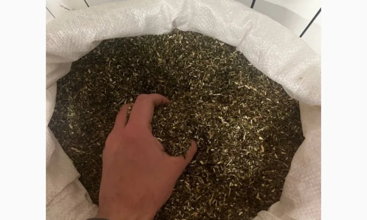 Качественная махорка для самокруток - фото № 1