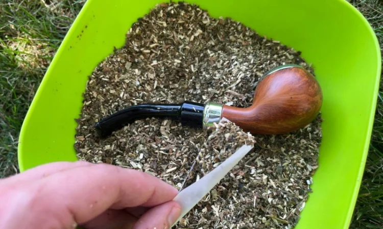 Самосадна махорка: природний аромат та якість - фото № 1