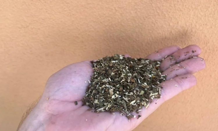 Якісний домашній табак махорка на продаж - фото № 1