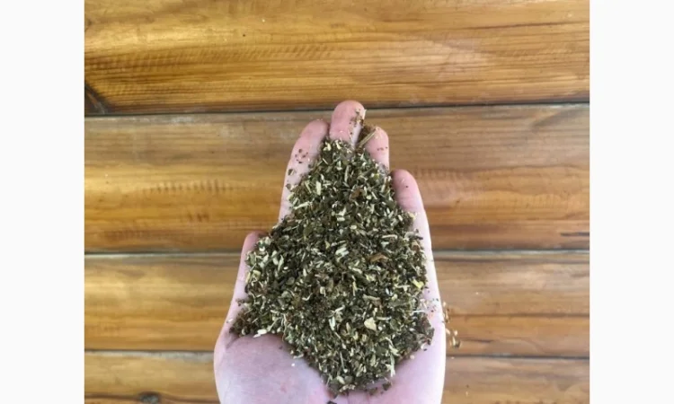 Натуральна махорка без хімії - фото № 1