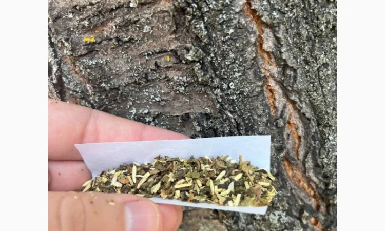 Качественная самосадная махорка - фото № 1