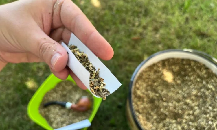 Натуральный украинский табак - фото № 1