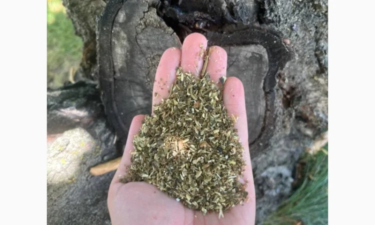 Самосадна махорка – натуральний домашній тютюн - фото № 1