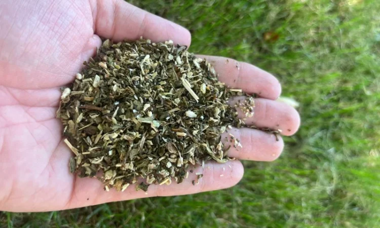 Найкраща махорка від виробника - фото № 1