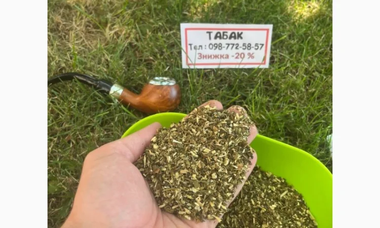 Свіжа махорка-самосад для вас - фото № 1