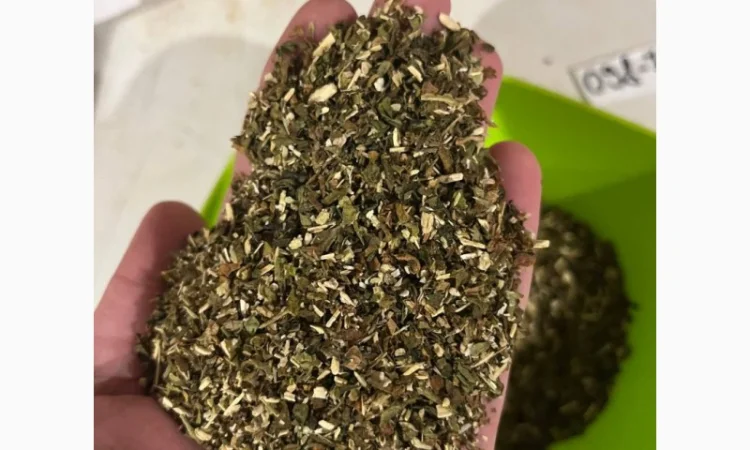 Махорка собственного производства: качество и вкус - фото № 1